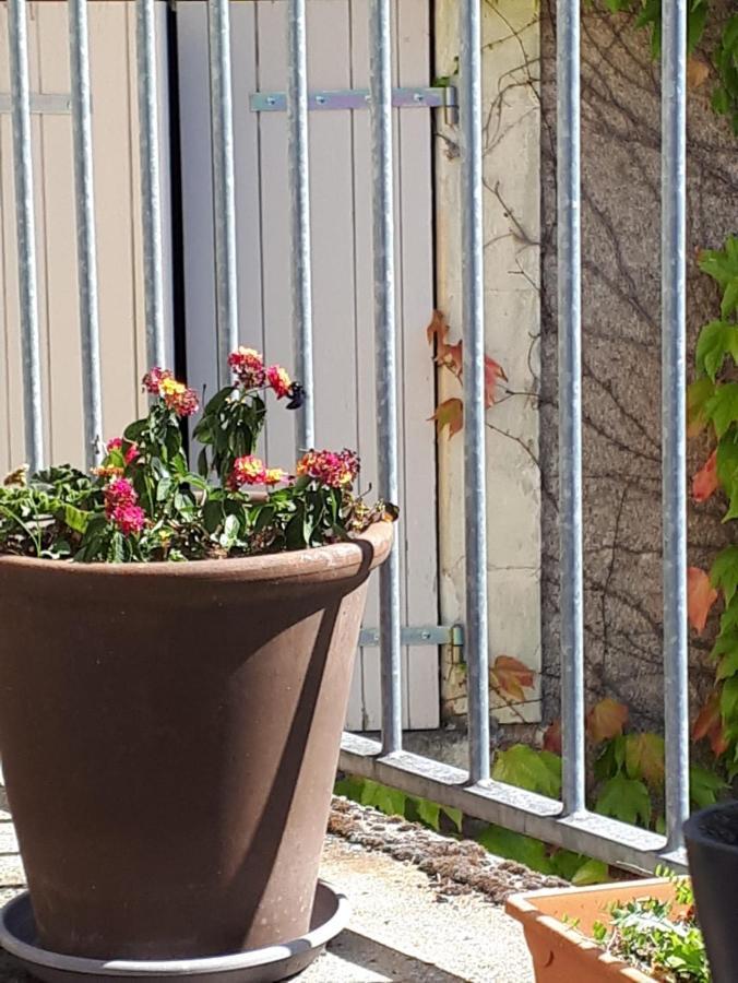 La Maison Haute Tigné Exteriér fotografie